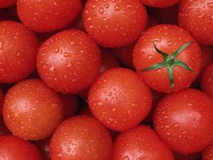 Сколько калорий в свежем помидоре