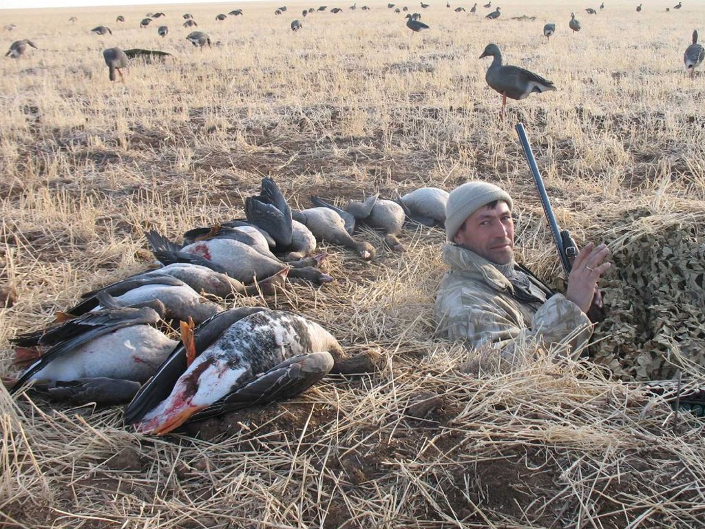 Охота на гуся в Аркалыке в Казахстане 2018