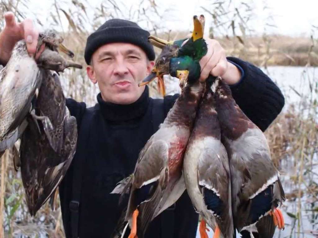 Охота на гуся в Астрахани и Астраханской области 2018