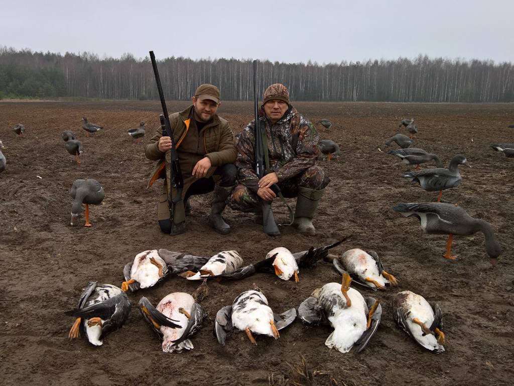Охота на гуся в Беларуси 2018