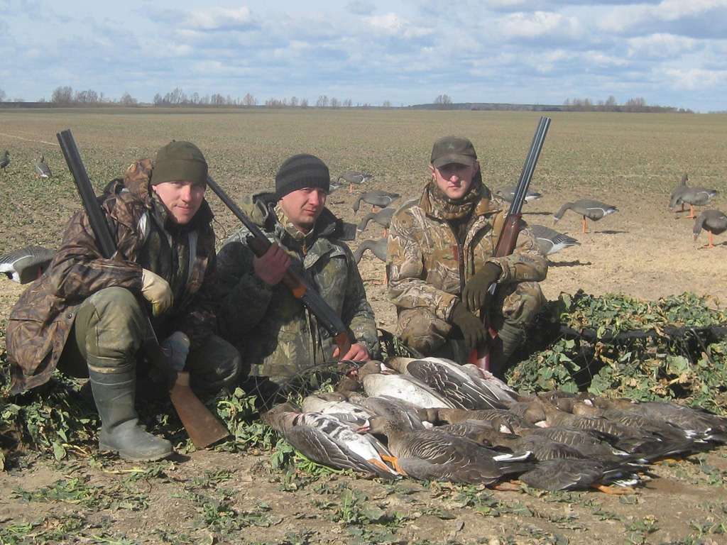Охота на гуся в Рязани и Рязанской области 2018
