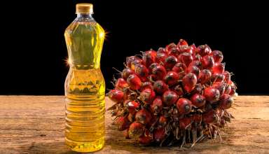 Вред и польза пальмового масла